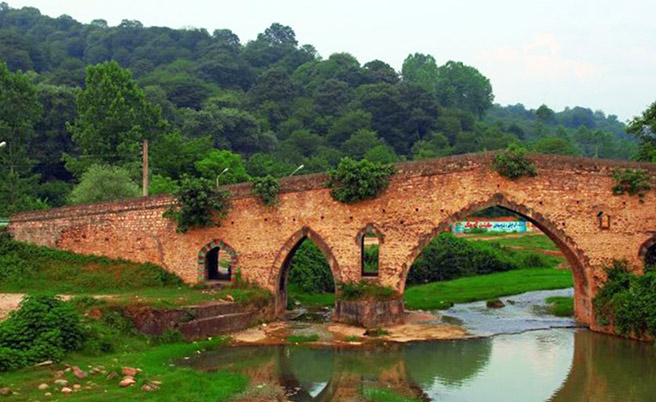 flybaman-shirga flybaman-shirga