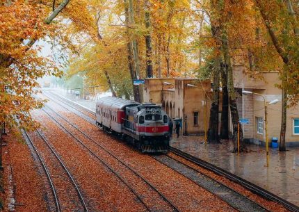 تور طبیعت‌گردی شیرگاه با قطار ؛ سفری به بهشت گمشده شمال
