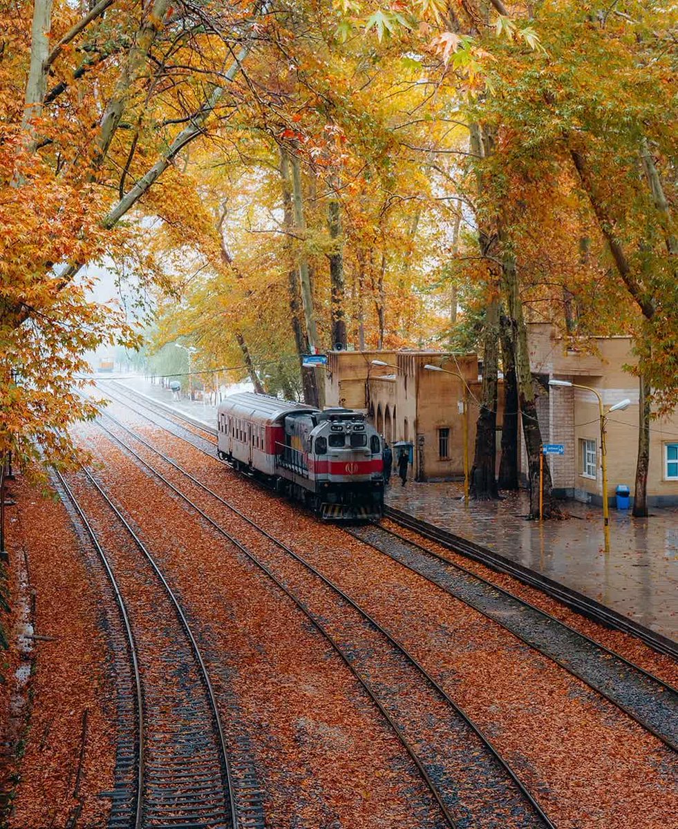 flybaman-shirgah flybaman-shirgah